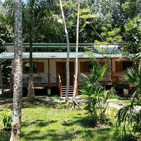 Casa Del Congo Villa Cahuita Dış mekan fotoğraf