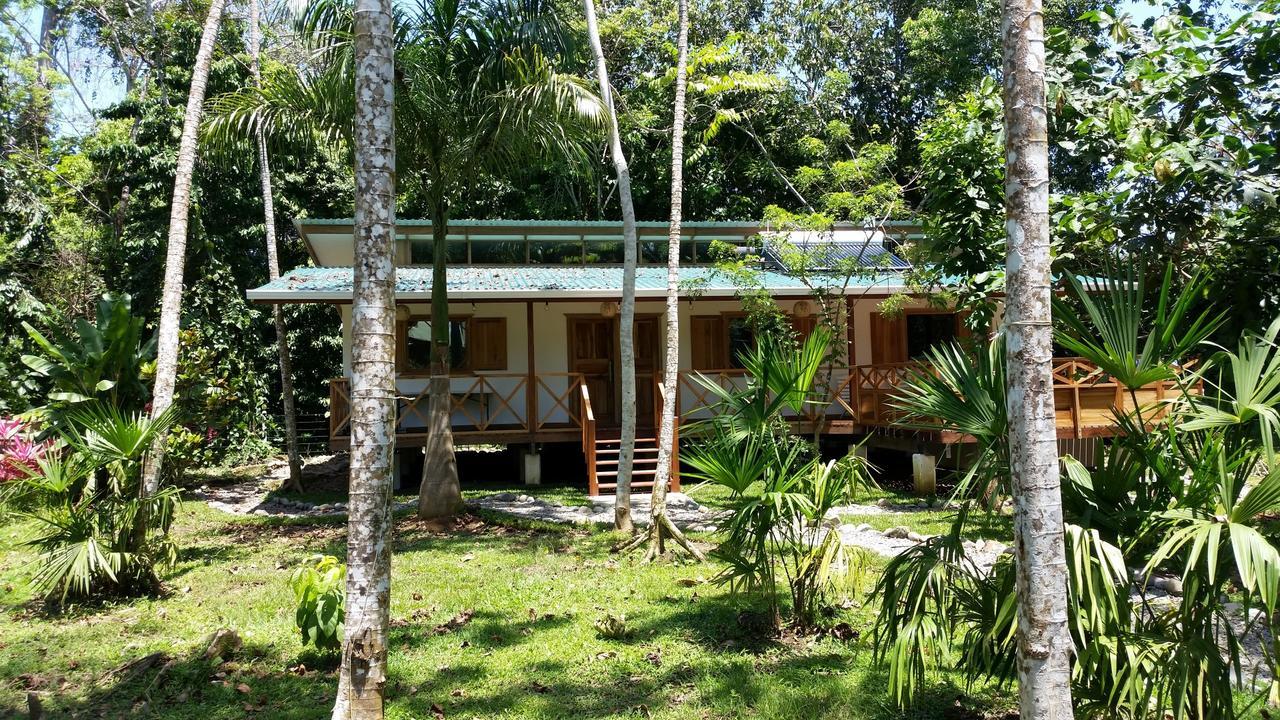 Casa Del Congo Villa Cahuita Dış mekan fotoğraf