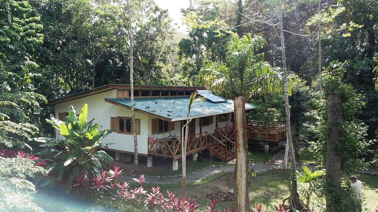 Casa Del Congo Villa Cahuita Dış mekan fotoğraf